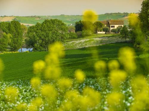 Inviting Holiday Home In San Costanzo With Swimming Pool