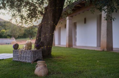 Agroturismo Su Cappeddu Agriturismo