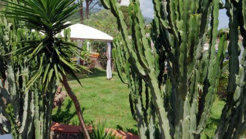 Apartamento Tal�a Residence