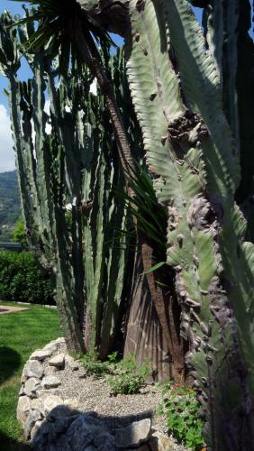 Apartamento Tal�a Residence