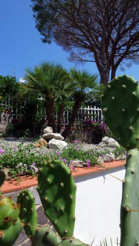 Apartamento Tal�a Residence