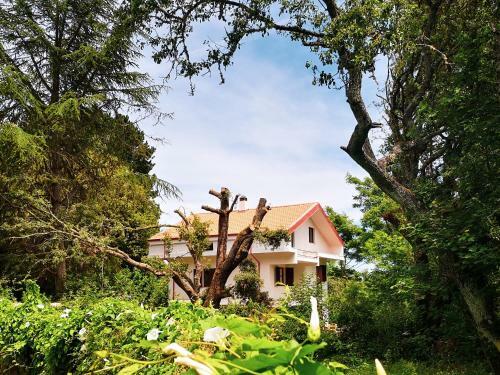 Agroturismo Locanda Sottobosco