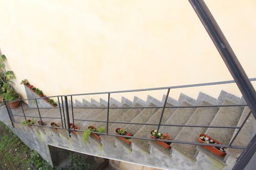 Le Quattro Stagioni - The Four Seasons