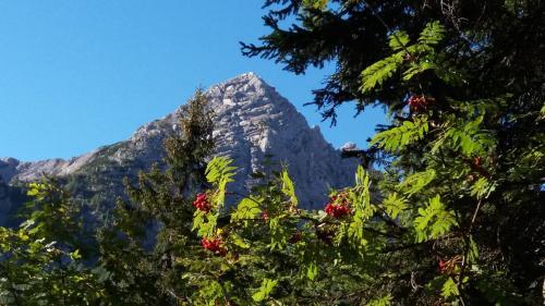 Hostal Haus Alpengru�