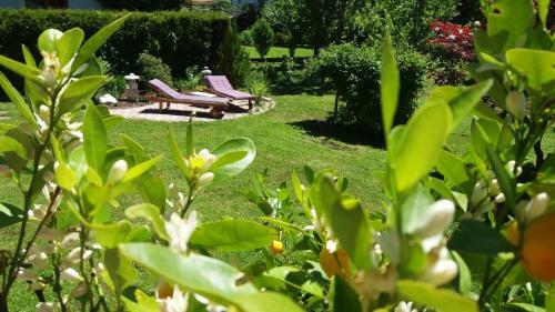 Hostal Haus Alpengru�
