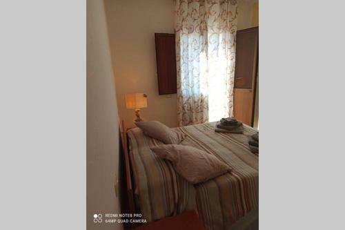 Ginestra 23