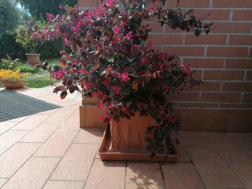 Apartamento Goccia In Valdorcia Smart Home