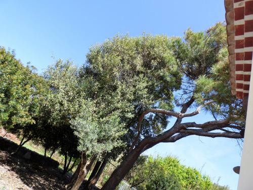 Apartamento Manderley-case Sul Mare