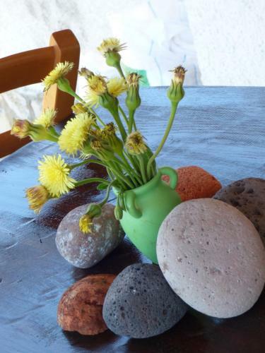 Apartamento Manderley-case Sul Mare