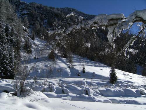 Hotel Garni Thurwieser - B&B