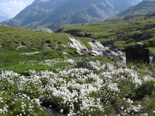 Hotel Garni Thurwieser - B&B