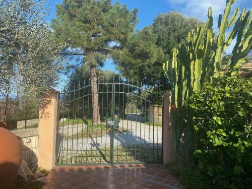 Apartamento Casale Ristrutturato 3 Km Tropea