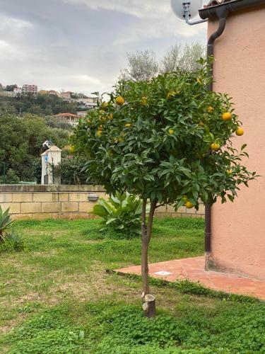 Apartamento Casale Ristrutturato 3 Km Tropea