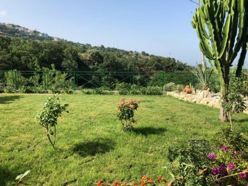 Apartamento Casale Ristrutturato 3 Km Tropea