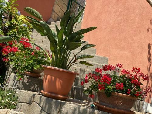 Apartamento Casale Ristrutturato 3 Km Tropea