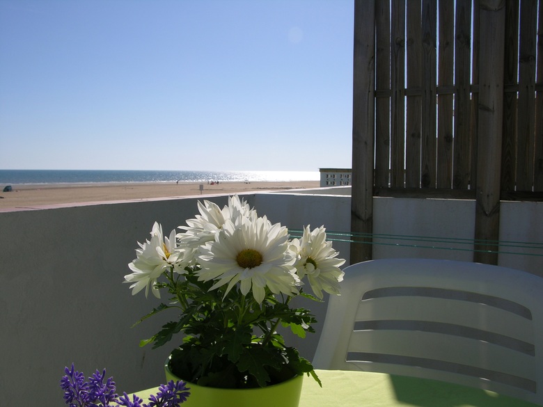 Apartamentos Calypso