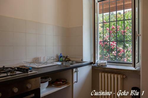 Apartamento Appartamenti In Villa - Il Geko Blu