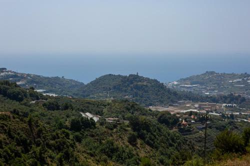 Apartamento Appartamenti In Villa - Il Geko Blu