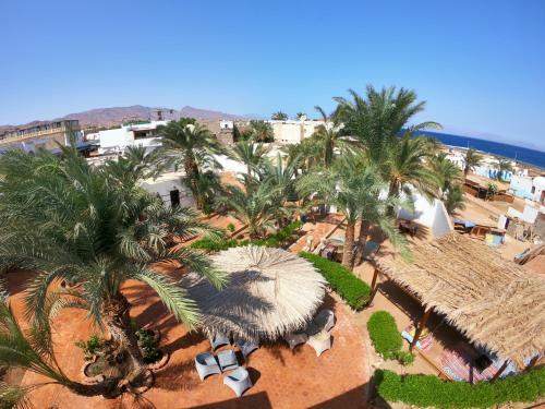 Hotel ?miramar Camp Dahab??
