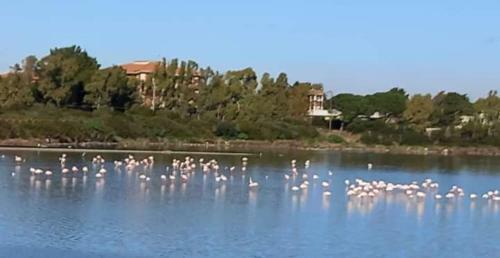 Agroturismo Turismo Rurale Pertunghe