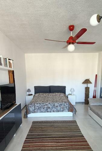 Apartamento Tuopallino