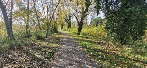 Apartamento Suite Dream - Santarcangelo Di Romagna - 500m Dal Centro Citt� E Centro Storico