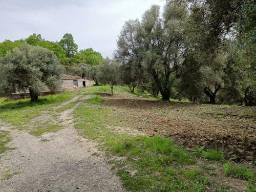 B&B Le Casette