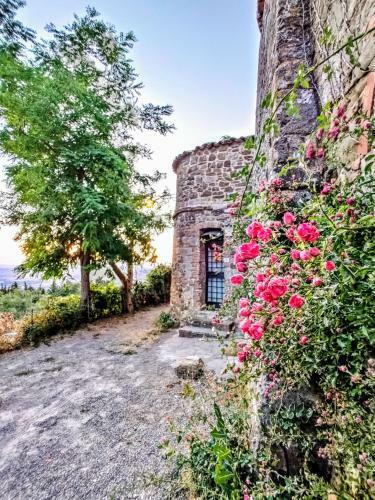 Historic 14th Century Palazzo Apartments