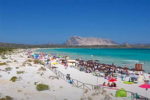 [san Teodoro] Garden&netflix A Due Passi Dal Mare