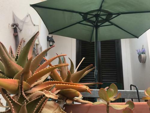 Apartamento L'appartamento Di Annachiara