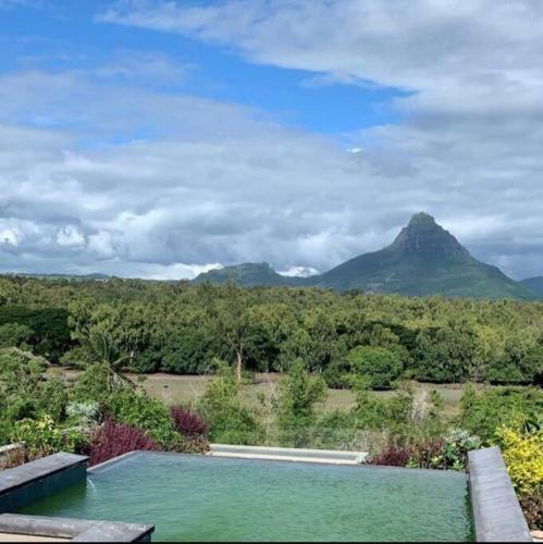 Lovely (new) Apartment Near Beach