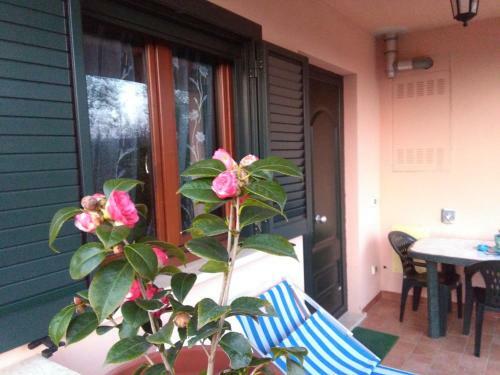 Agroturismo Residence Ai Campi Da Golf Saturnia