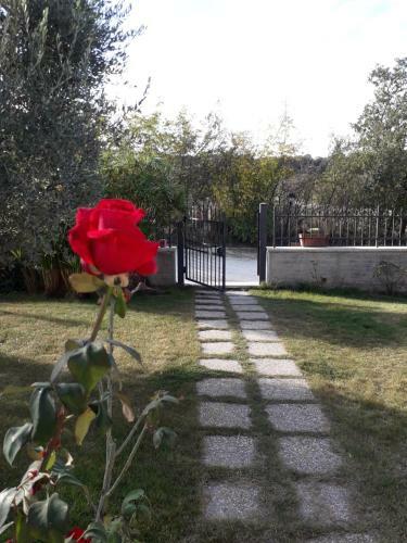 Agroturismo Residence Ai Campi Da Golf Saturnia
