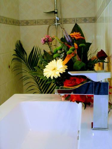 Villa Arbre Du Voyageur, 4 �toiles Et 4 Cl�vacances