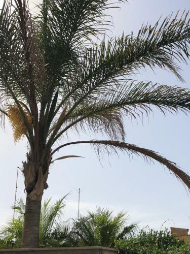 Apartamento Casa Vacanze Il Veliero