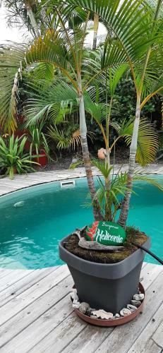 Heliconia Guest House