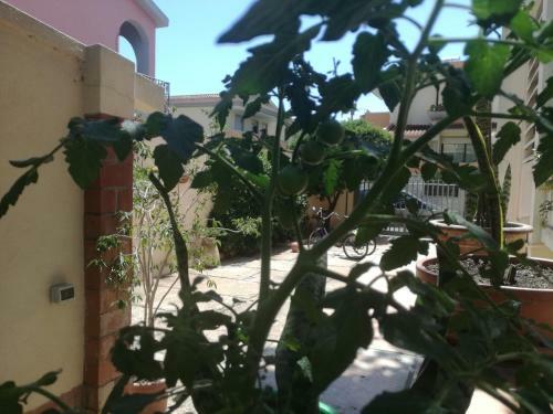Bed & Breakfast Casa Madda