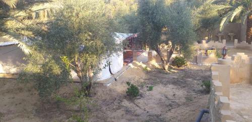 Bed & Breakfast Tazol House