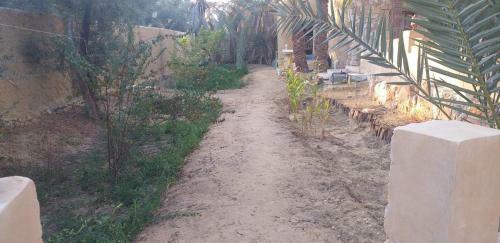 Bed & Breakfast Tazol House