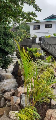 Apartamento Riverside Mount Simpson - Seychelles Island
