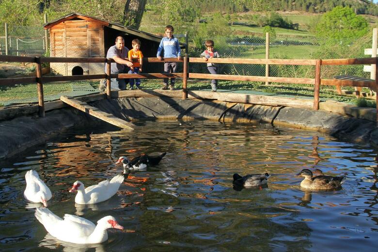 Hotel Cerdanya Ecoresort