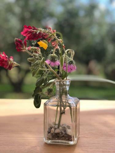 Agroturismo Casa Agricola Scorziello