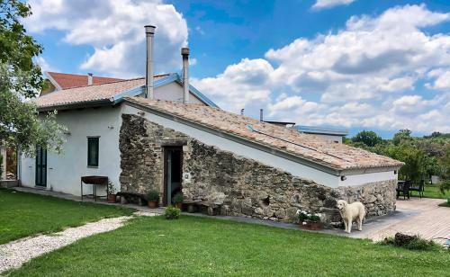 Agroturismo Casa Agricola Scorziello