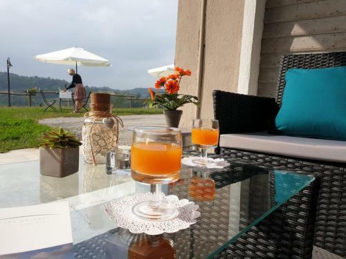 Bed & Breakfast Cascina Brichat Alta Langa