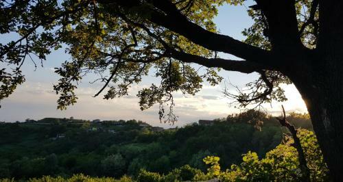 Bed & Breakfast Cascina Brichat Alta Langa