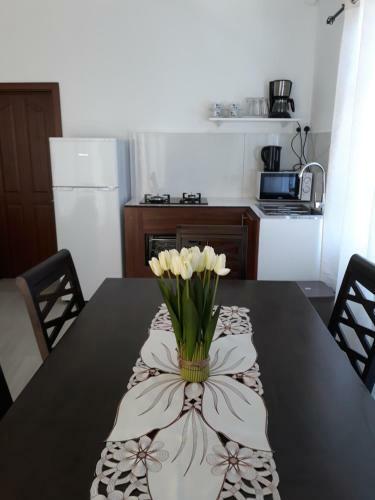 Apartamento Studio Ametisse