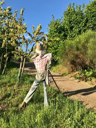Agroturismo Podere La Fausta