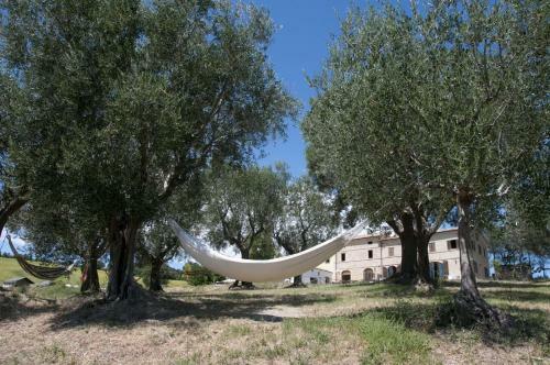 Apartamento Tenuta Tredici Ulivi