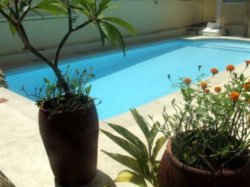 Apartamento Reviva Villa