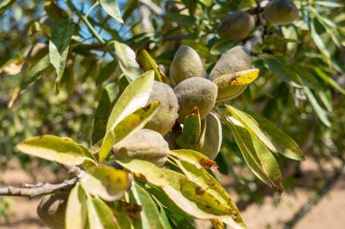 Appartamento In Campagna A Sciacca